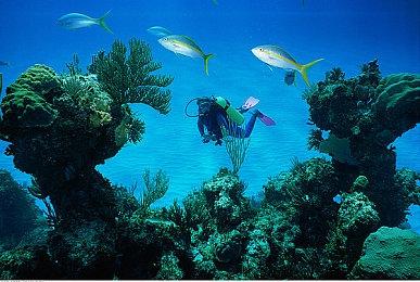 《燕云十六声》不是单机也不是MMO 不会逼肝逼氪